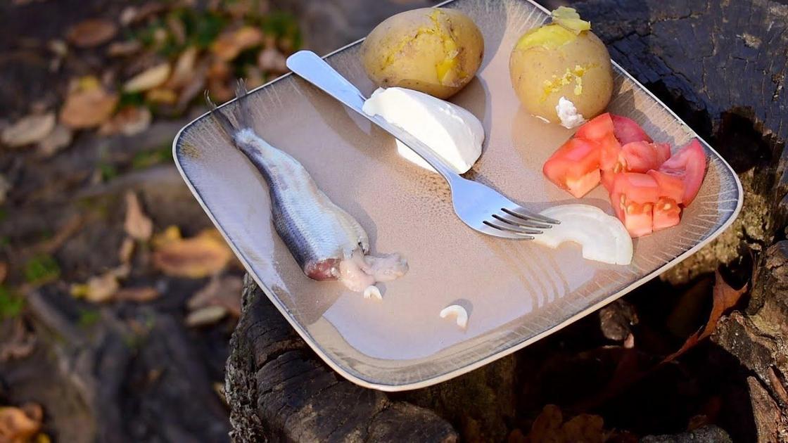 Surströmming